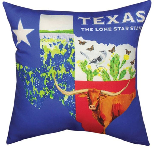 Texas Collage Climaweave Pillow