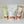 Assorted Praline Resealable Bags