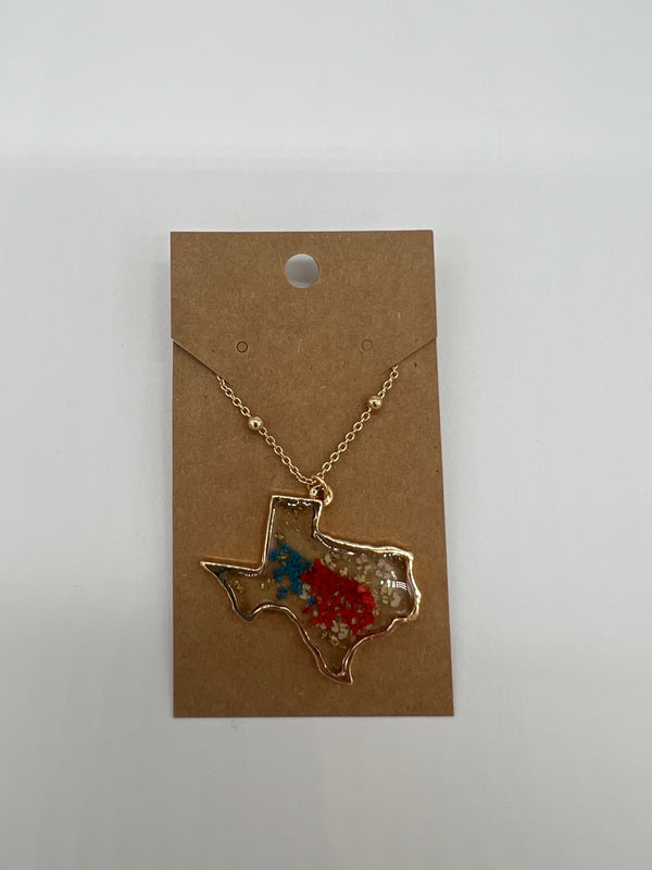 Large Texas Resin Necklace - Blue/Red