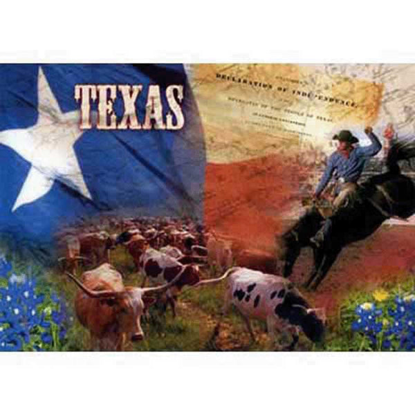 Texas Collage Postcard