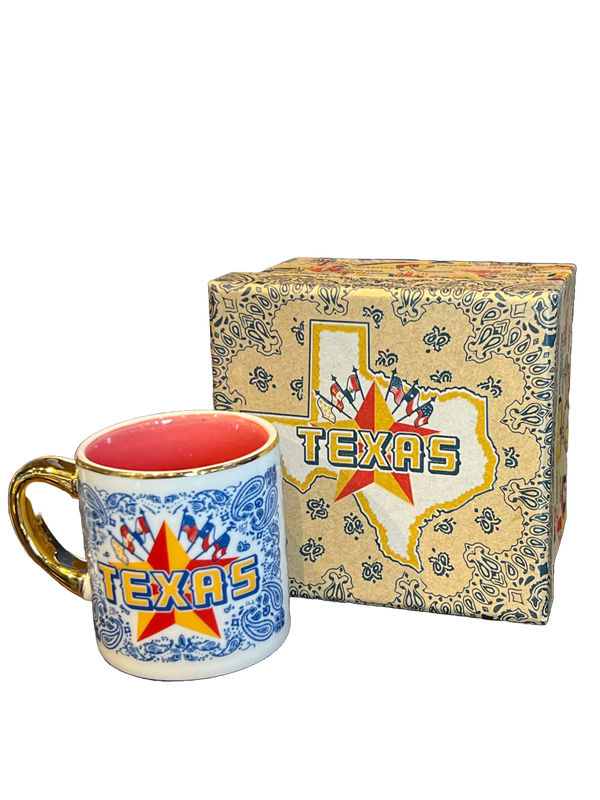 Texas Souvenir Mug w/Gift Box