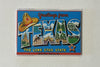 Texas Letter Photo Magnet