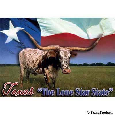 The Lone Star State Postcard
