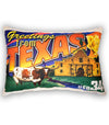Texas Stamp Pillow