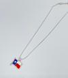 Texas Flag Silver Chain Necklace